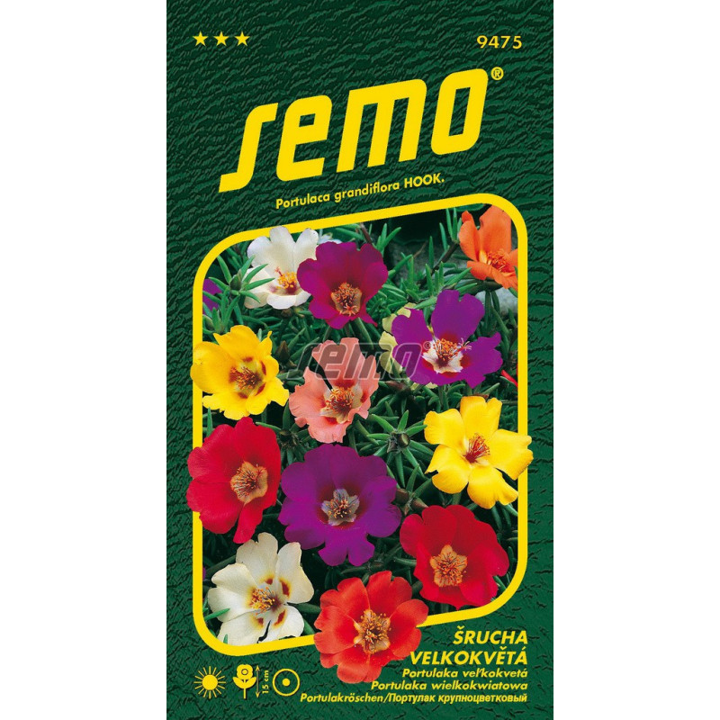 Portulaka veľkokvetá zmes