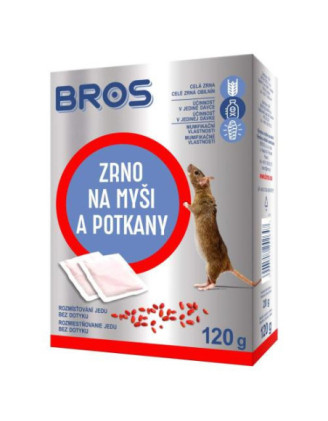 Mysi zrno mysi