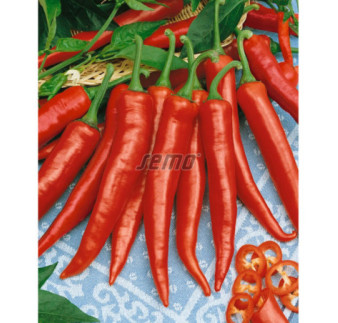 Paprika koreninová Hodoninska