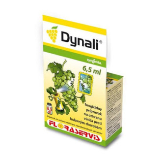 Dynali 6