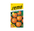 Rajčiak kríčkový Oranze