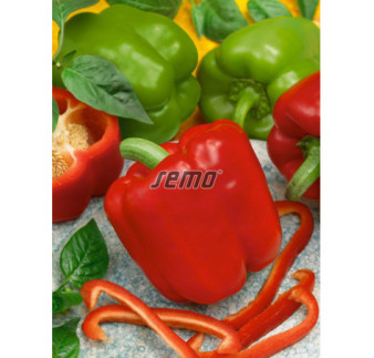 Paprika zeleninová Saskia F1