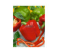 Paprika zeleninová Saskia F1