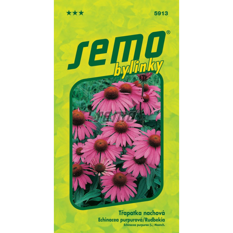 Rudbekia Echinacea