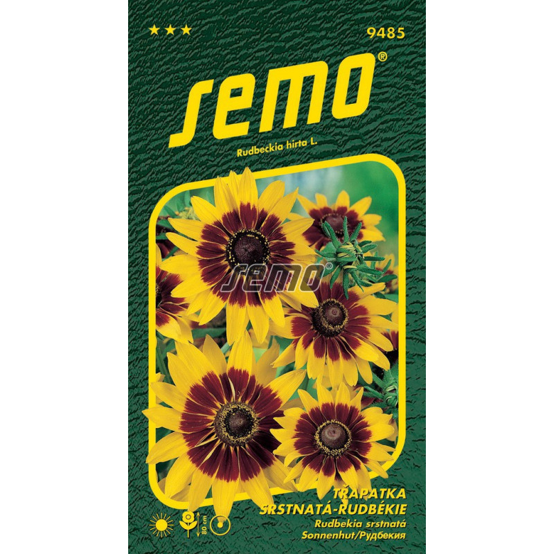 Rudbekia srst Gloria Daisy