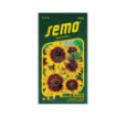 Rudbekia srst Gloria Daisy
