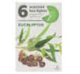 Čajové sviečky voňavé 6 ks, eucalyptus