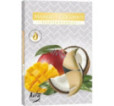 Čajové sviečky voňavé/6 mango,kokos