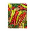 Paprika zeleninová Semaroh