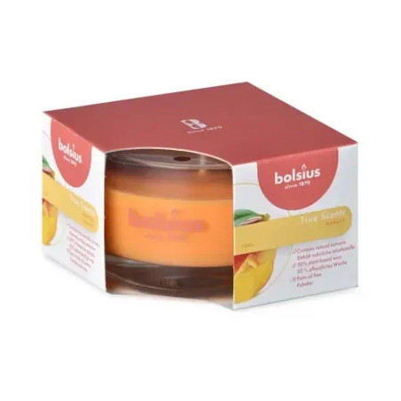 Sviecka 50/80 v skle mango