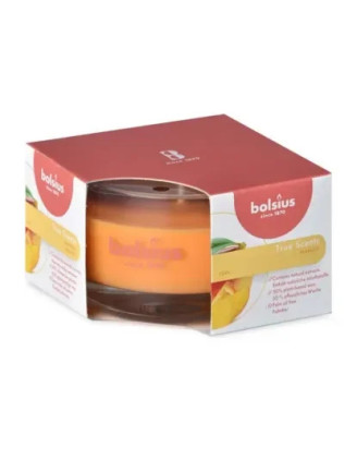 Sviecka 50/80 v skle mango