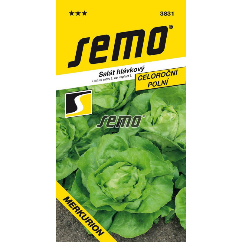 Šalát celoročný Merkurion
