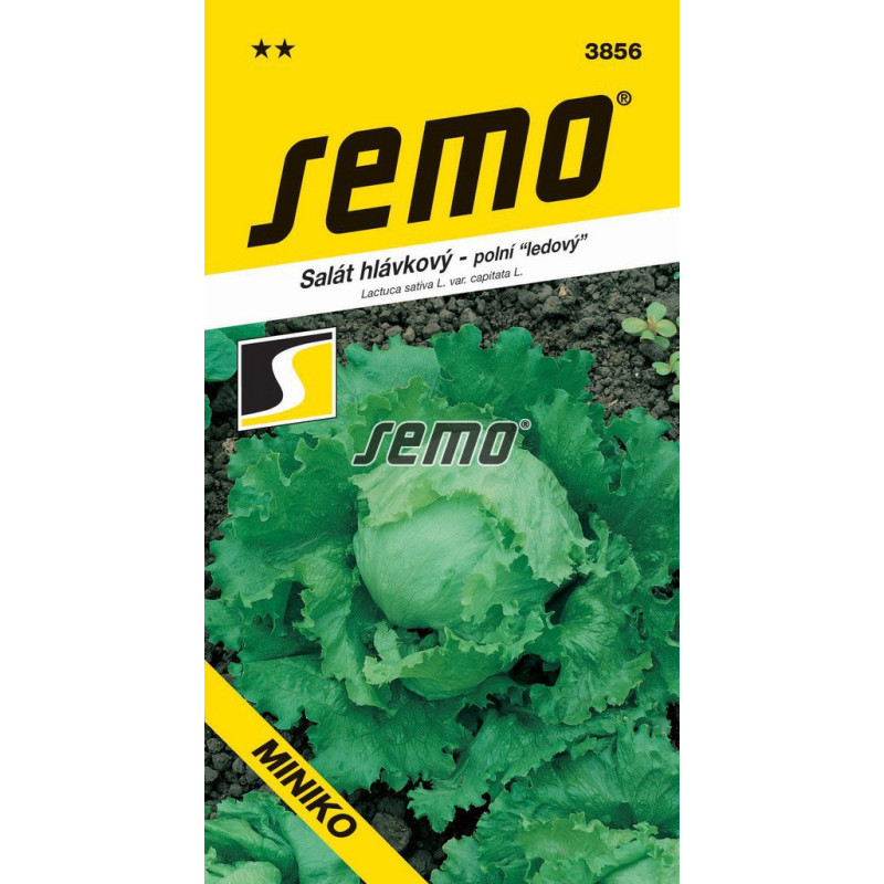 Šalát letný ľadový Miniko 0,7 g