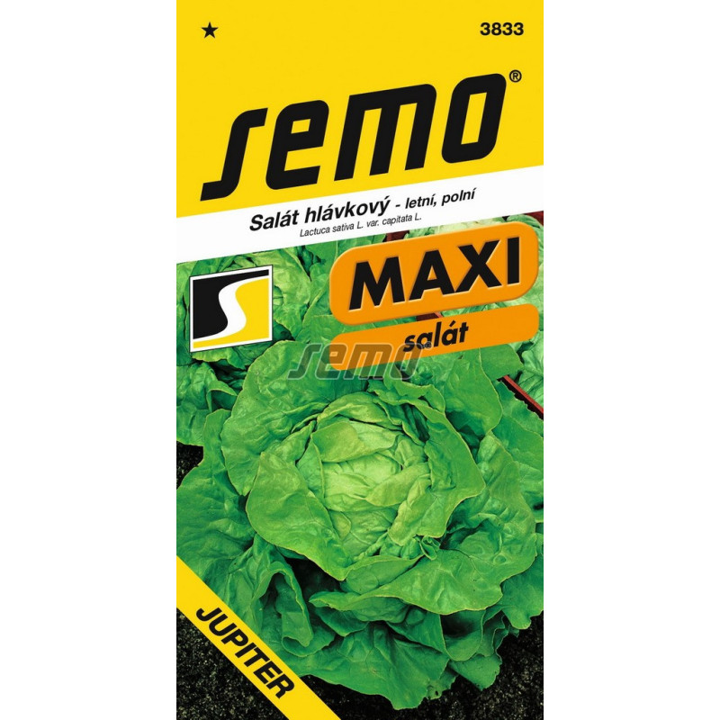 Šalát Jupiter letný Maxi Semo