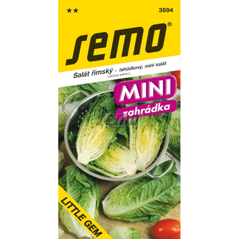 Šalát rímsky mini Little Gem