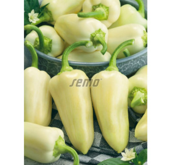 Paprika zeleninová Amykus F1
