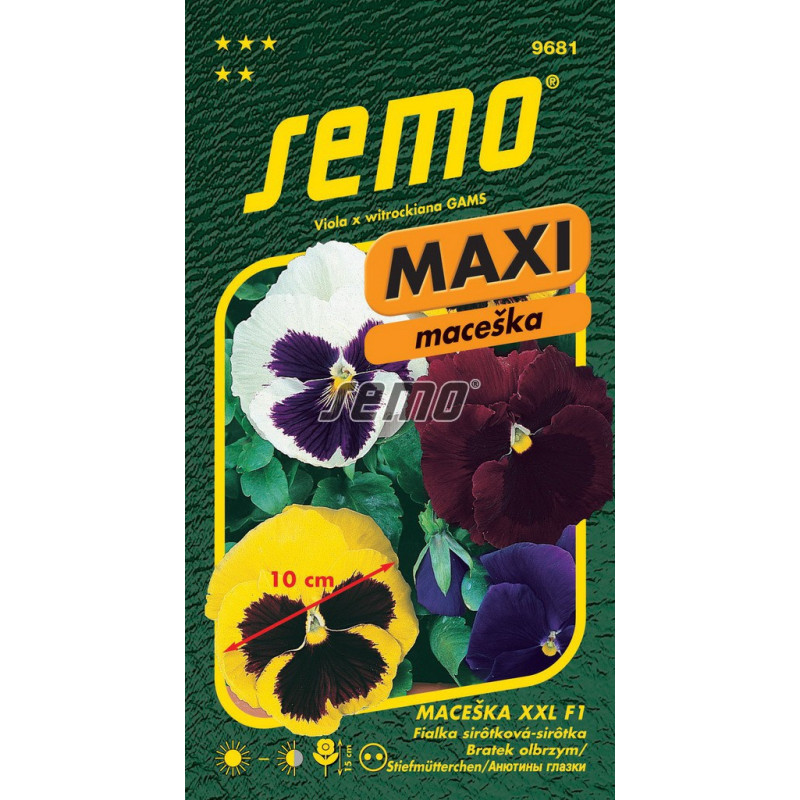 Sirôtka veľkokvetá XXL Maxi F 1