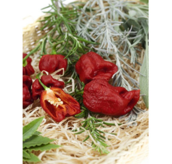Paprika zeleninová chilli Carolina Reaper