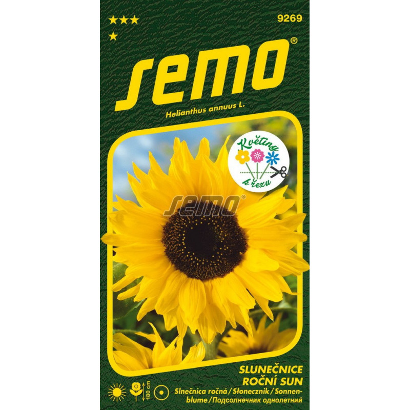 Slnečnica Sun