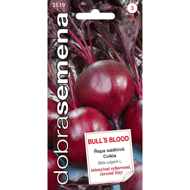 Cvikla šalátová Bulls Blood Cvikla šalátová Bulls Blood