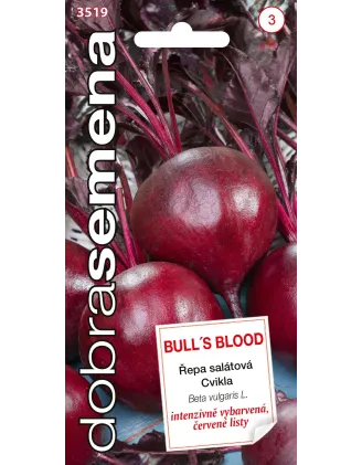 Cvikla šalátová Bulls Blood