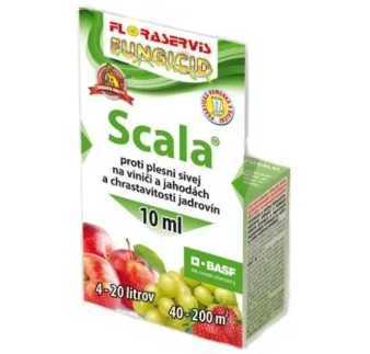 Scala 10 ml