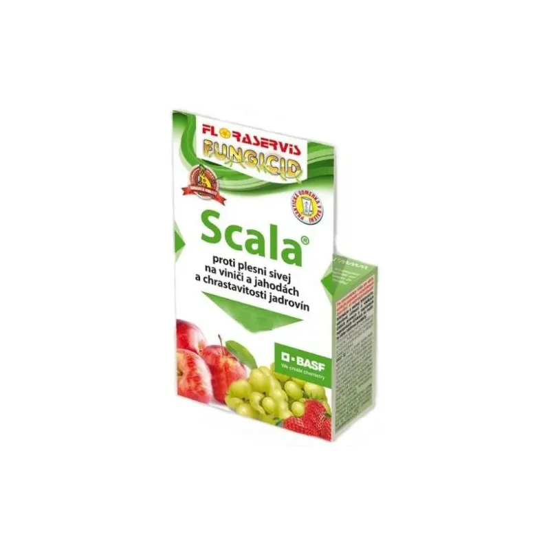 Scala 50 ml