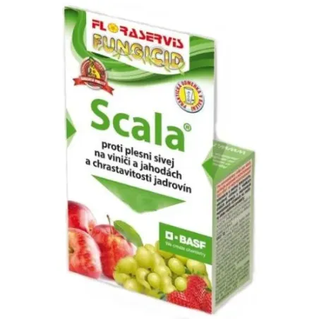 Scala 50 ml