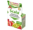 Scala 50 ml