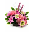Ikebana - 26 mix farieb