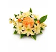 Ikebana - 20 mix farieb