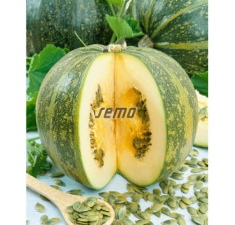 Tekvica Apetit olejnata