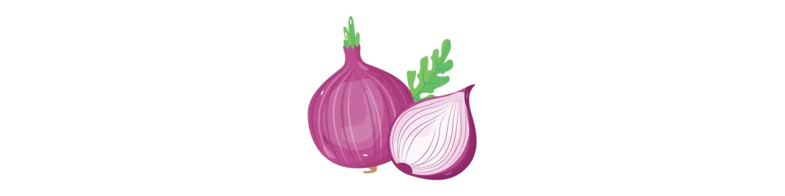 Semená a sadzačka cibule – zdravá úroda