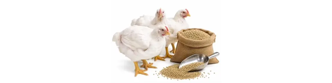 Morky pre zvieratá | Záhradkárik