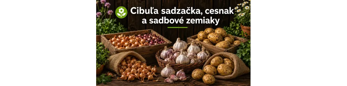 Cibuľa sadzačka, cesnak a sadbové zemiaky