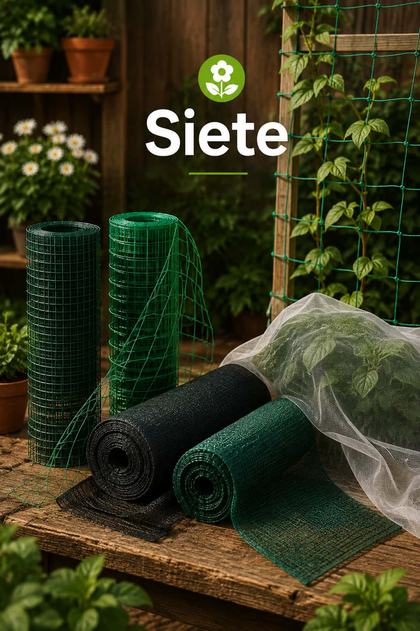  Siete 